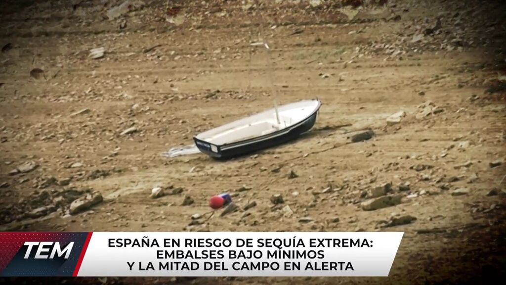 Todo es mentira
