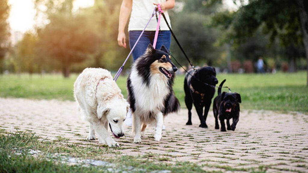 gettyimages-1126947324-170667a