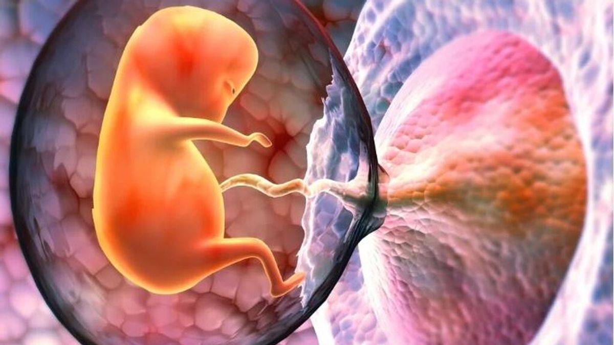 Nuevo estudio revela que el covid puede destruir la placenta y dañar al feto en mujeres no vacunadas