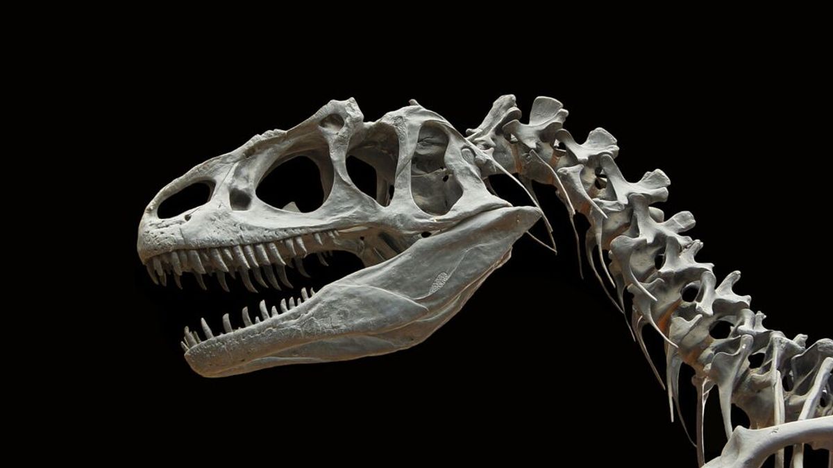 Científicos encuentran evidencias de una infección respiratoria en dinosaurios, similar a nuestra gripe o neumonía