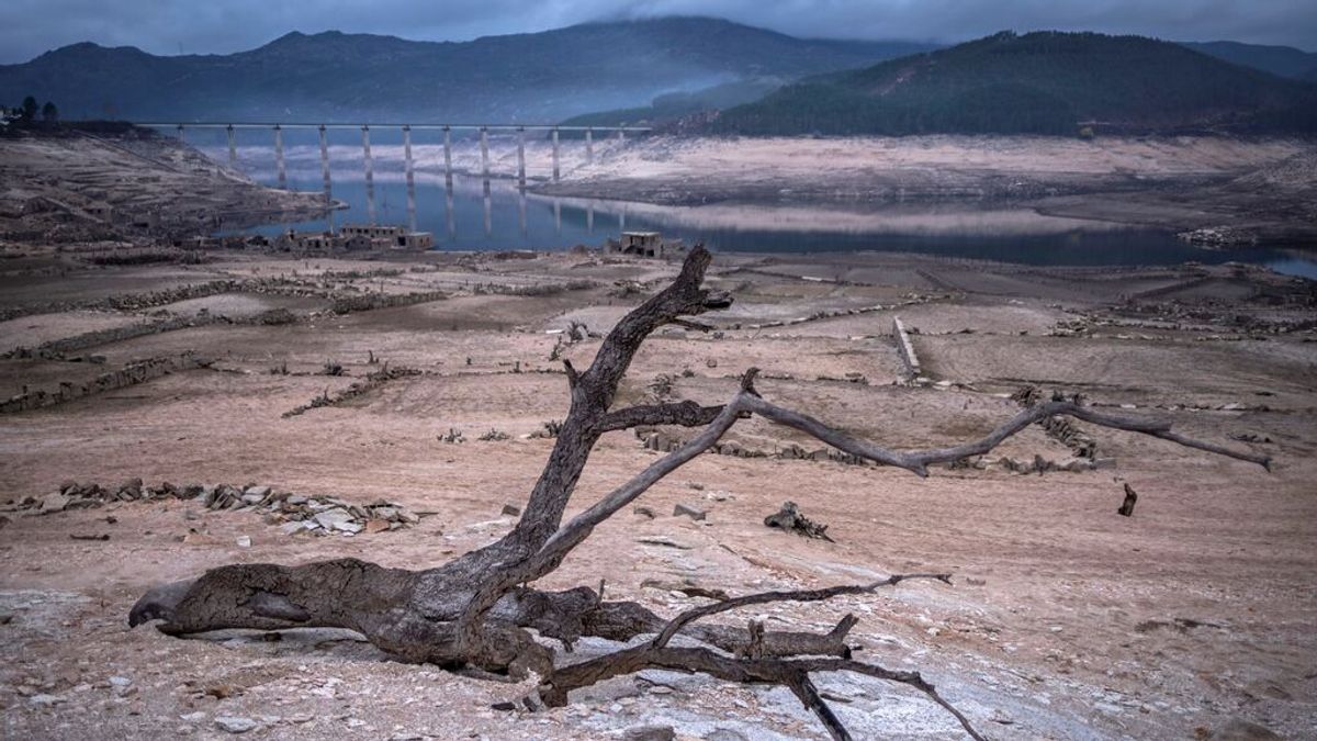 La sequía en España amenaza al campo con más restricciones de agua y pérdidas de millones de euros