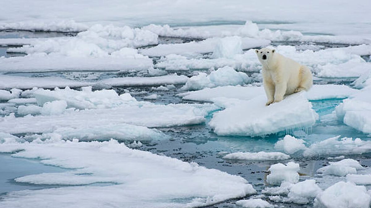 El cambio climático puede acabar con hasta tres metros al año de costa ártica