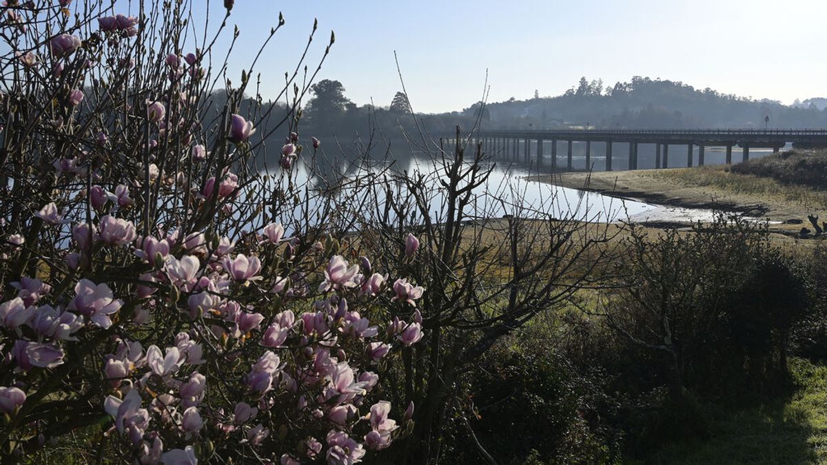 La primavera florece en España: esta semana hará cerca de 26 grados por el anticiclón