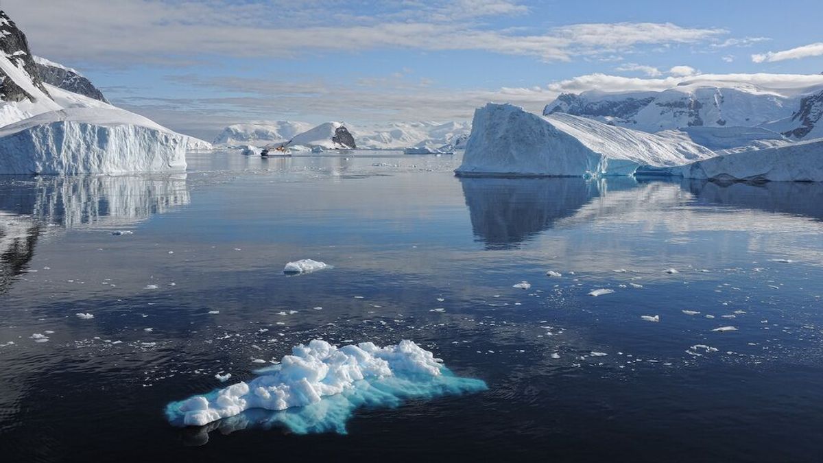 Los tres marineros rescatados con vida en el naufragio de Terranova sufrieron un shock hipotérmico