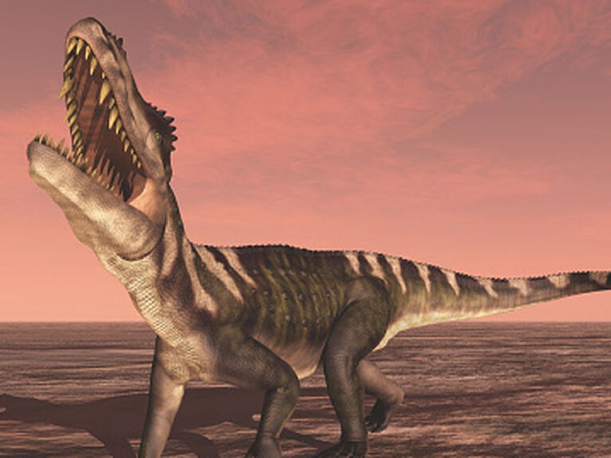 Hallan en Australia un dinosaurio en el estómago de un cocodrilo