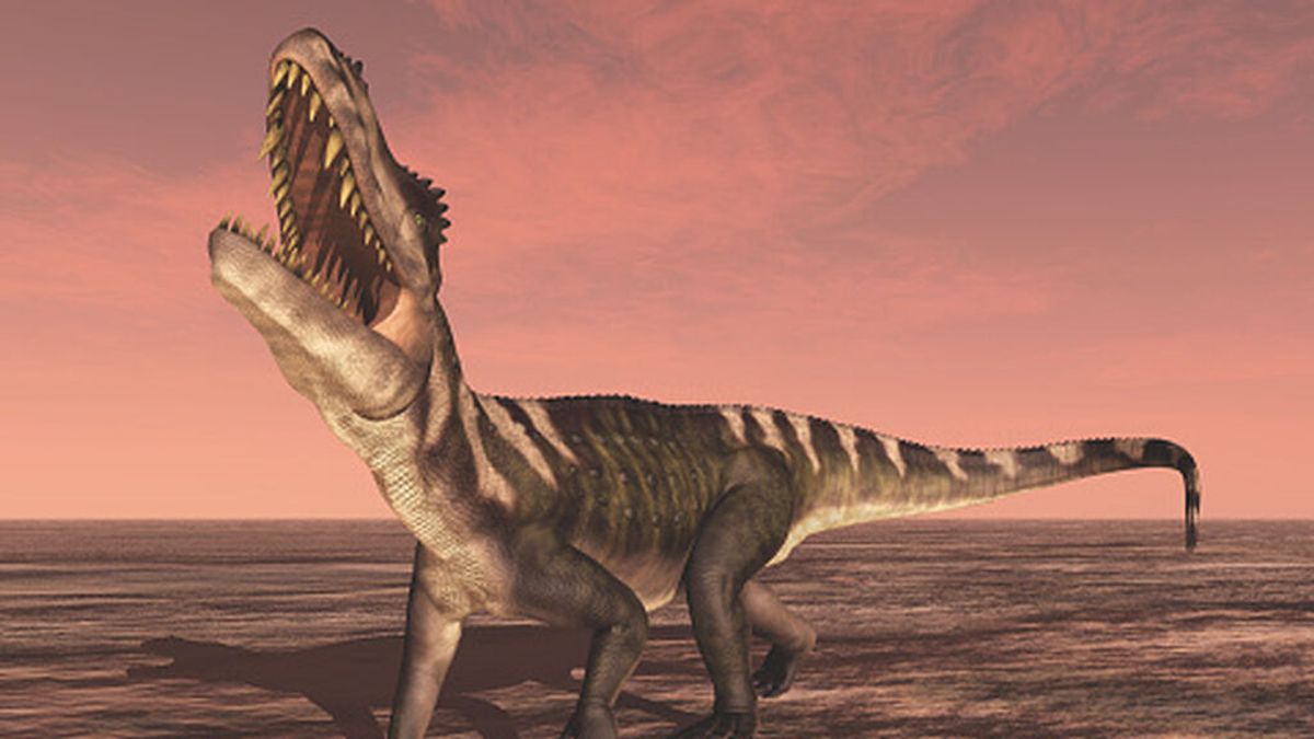 Investigadores australianos encuentran un cocodrilo con restos de un dinosaurio en su estómago