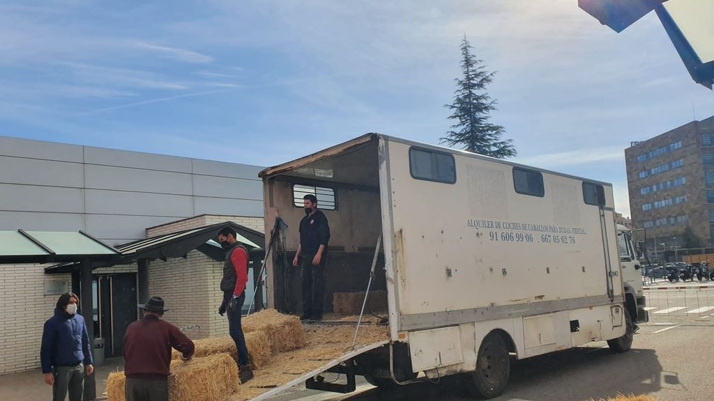 'Los gavilanes de Sálvame' se preparan para el gran estreno