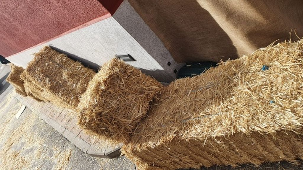 'Los gavilanes de Sálvame' se preparan para el gran estreno