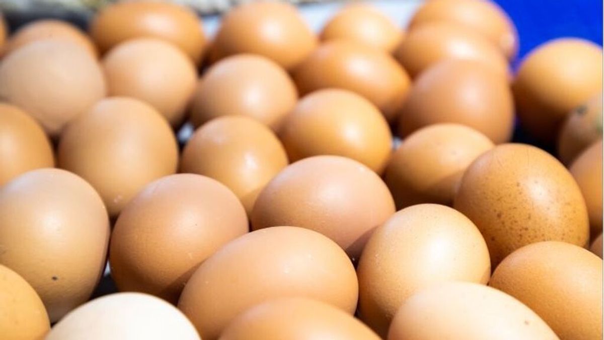 Salmonela: qué es, síntomas, qué lo produce: y ¿Cómo saber si un huevo está en buen estado?