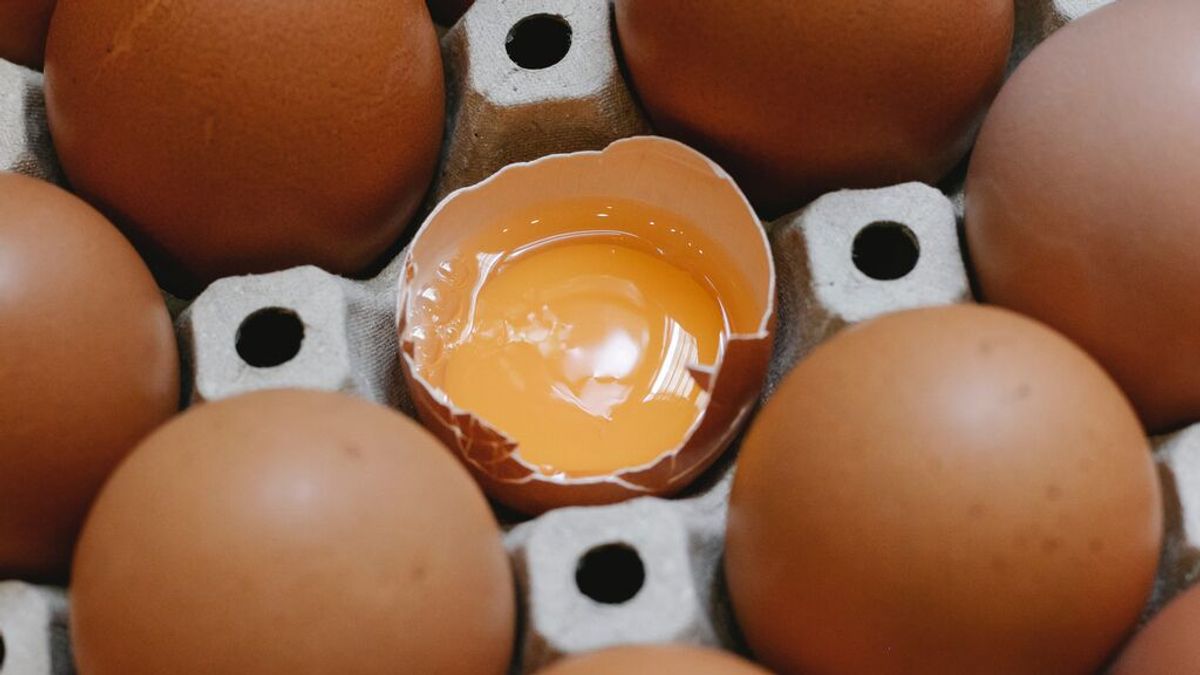 La UE investiga lotes de huevos españoles por un brote de salmonela en varios países La UE investiga lotes de huevos españoles por un brote de salmonela en varios países