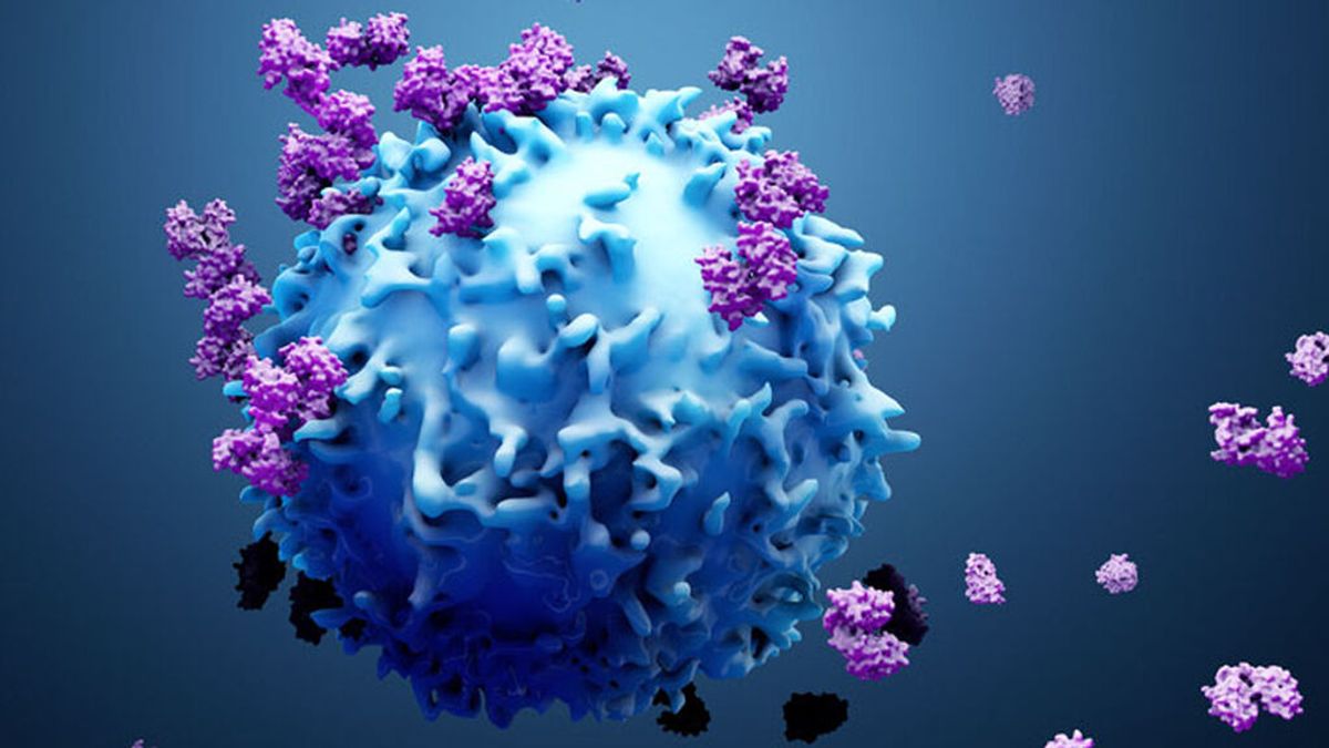 Investigadores descubren un 'truco' de las células cancerosas para esquivar el sistema inmune