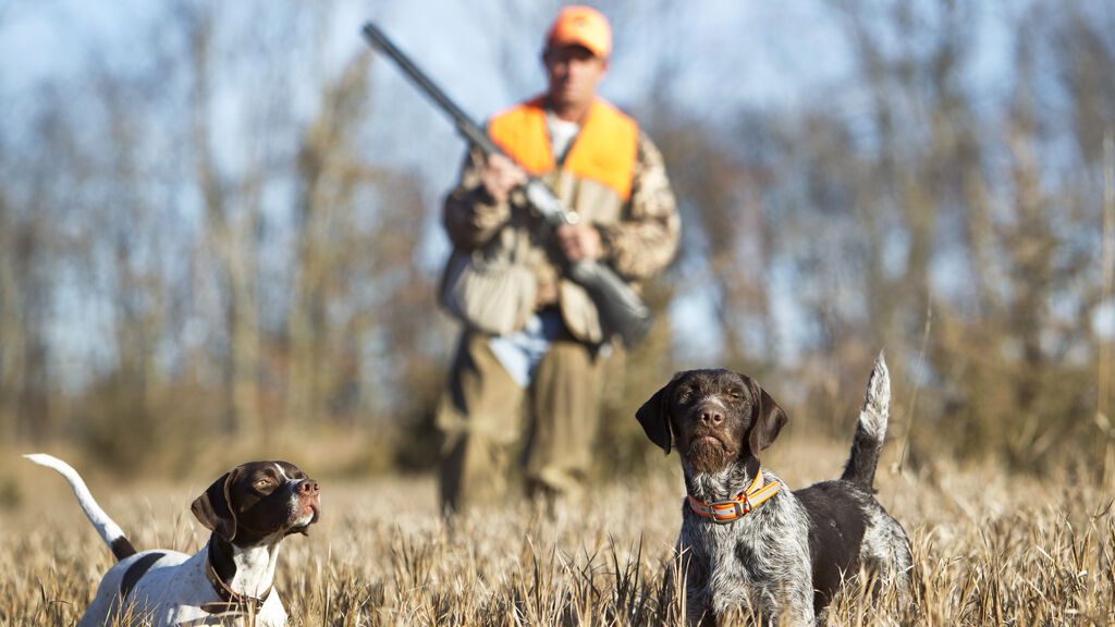 Descontento generalizado en el sector de la caza por el proyecto de Ley de Protección Animal