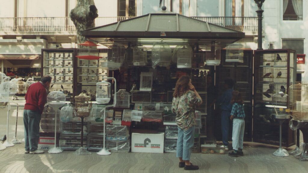 Una antigua pajarería de La Rambla