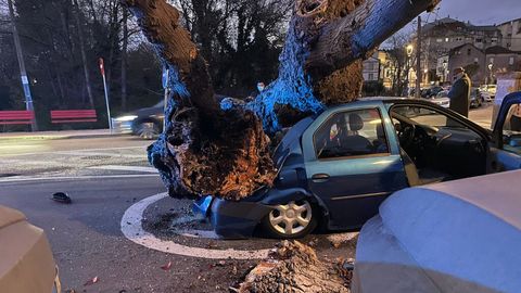 Milagro en Gondomar: salen ilesos tras caer un árbol sobre su coche - NIUS