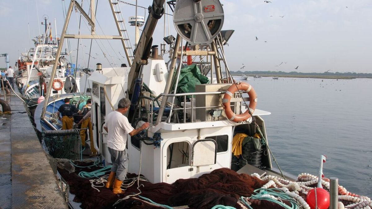 ¿Por qué navegaba un observador científico en el barco que naufragó en Terranova? ¿Por qué navegaba un observador científico en el barco que naufragó en Terranova?