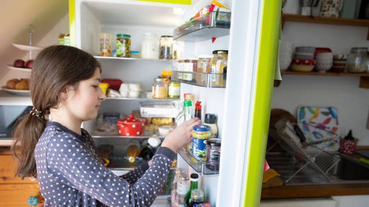 ¿Tu frigorífico dispara el recibo de la luz? La OCU te aconseja cómo ahorrar en su consumo de energía