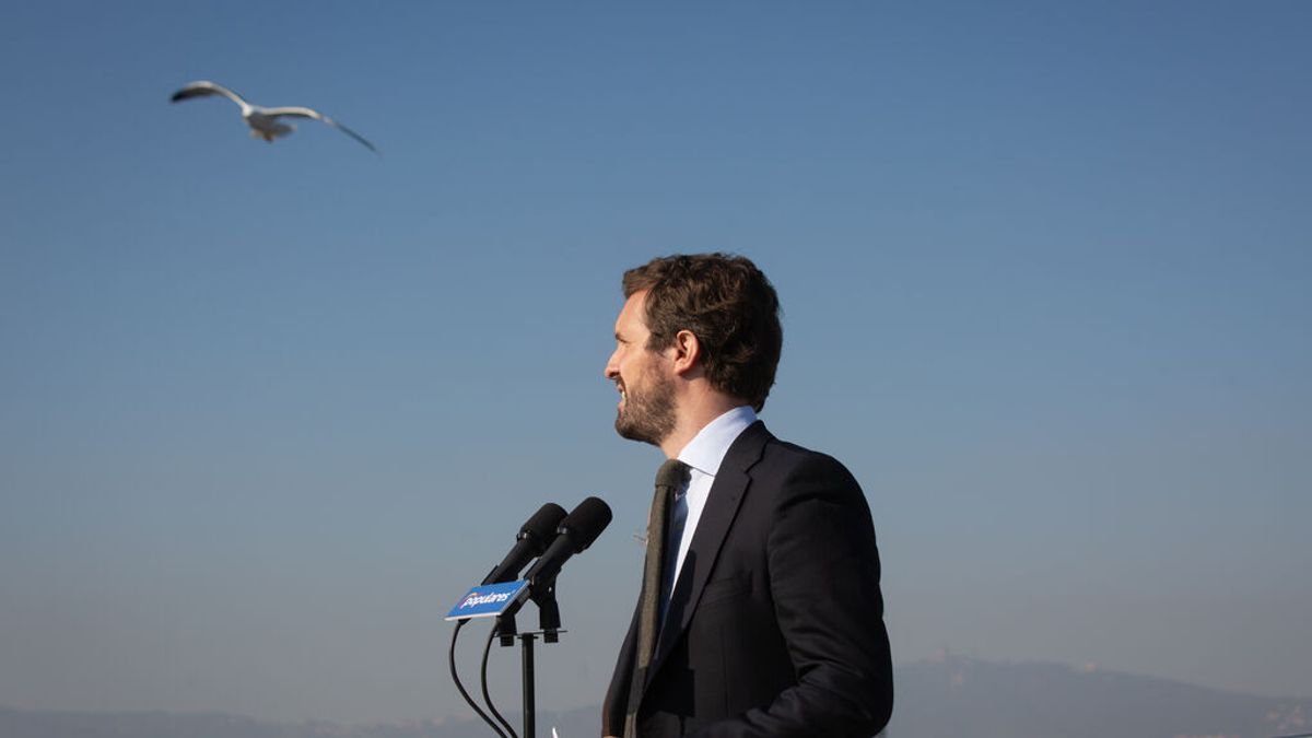 Pablo Casado y gaviota Pablo Casado y gaviota