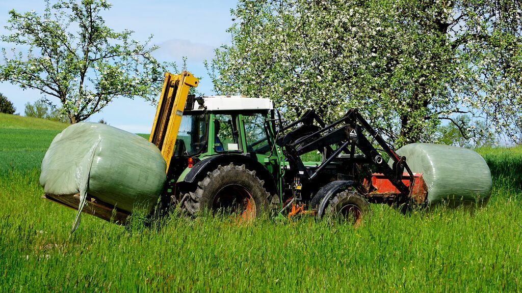 Condenado a tres años de prisión por dejar discapacitado a un ganadero tras apedrearlo en León