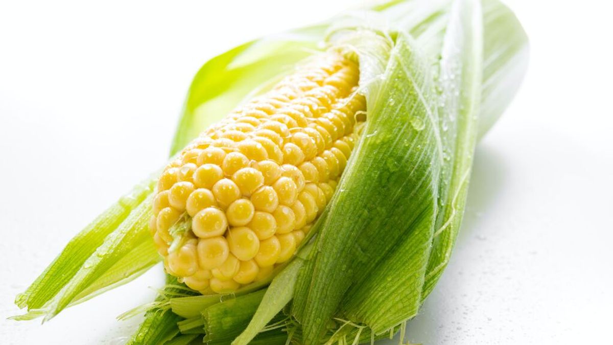 Cómo cocinar el maíz? Recetas, trucos y consejos - NIUS