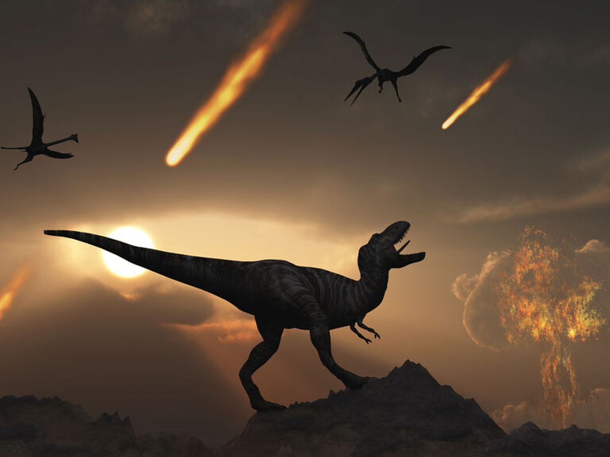 El meteorito que acabó con los dinosaurios cayó en primavera - NIUS El meteorito que acabó con los dinosaurios cayó en primavera - NIUS