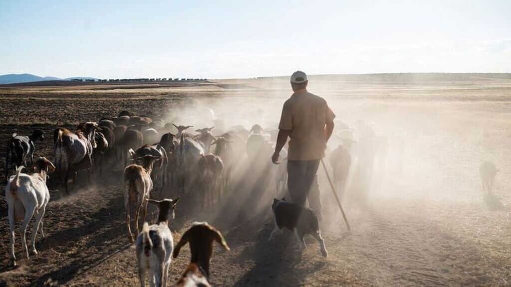 La guerra entre Rusia y Ucrania provocará daños al castigado sector agricultor y ganadero de España