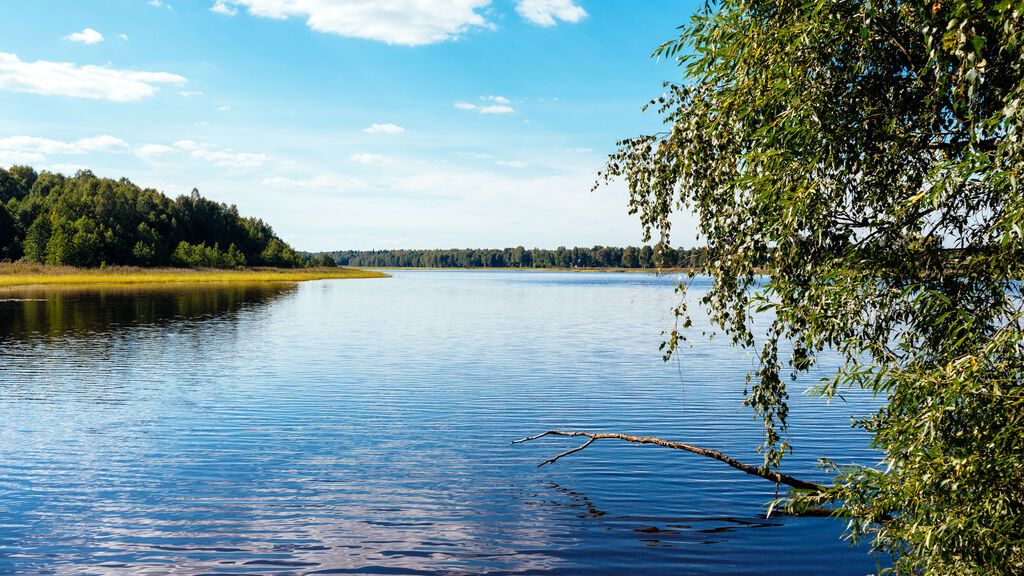 Las olas de calor en los grandes lagos son seis veces más frecuentes hoy que hace dos décadas