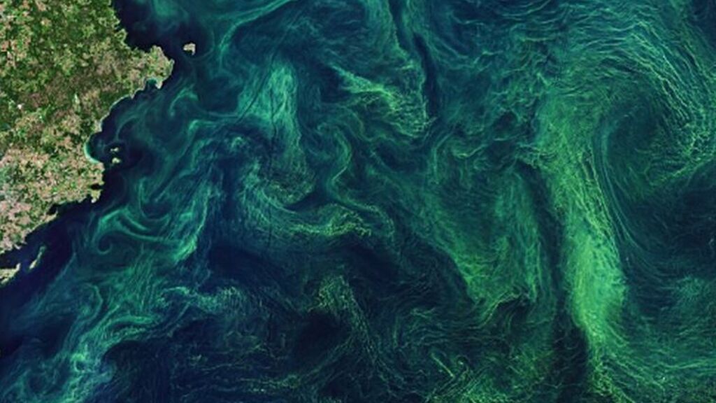 clipping_IASQRF_7b7d