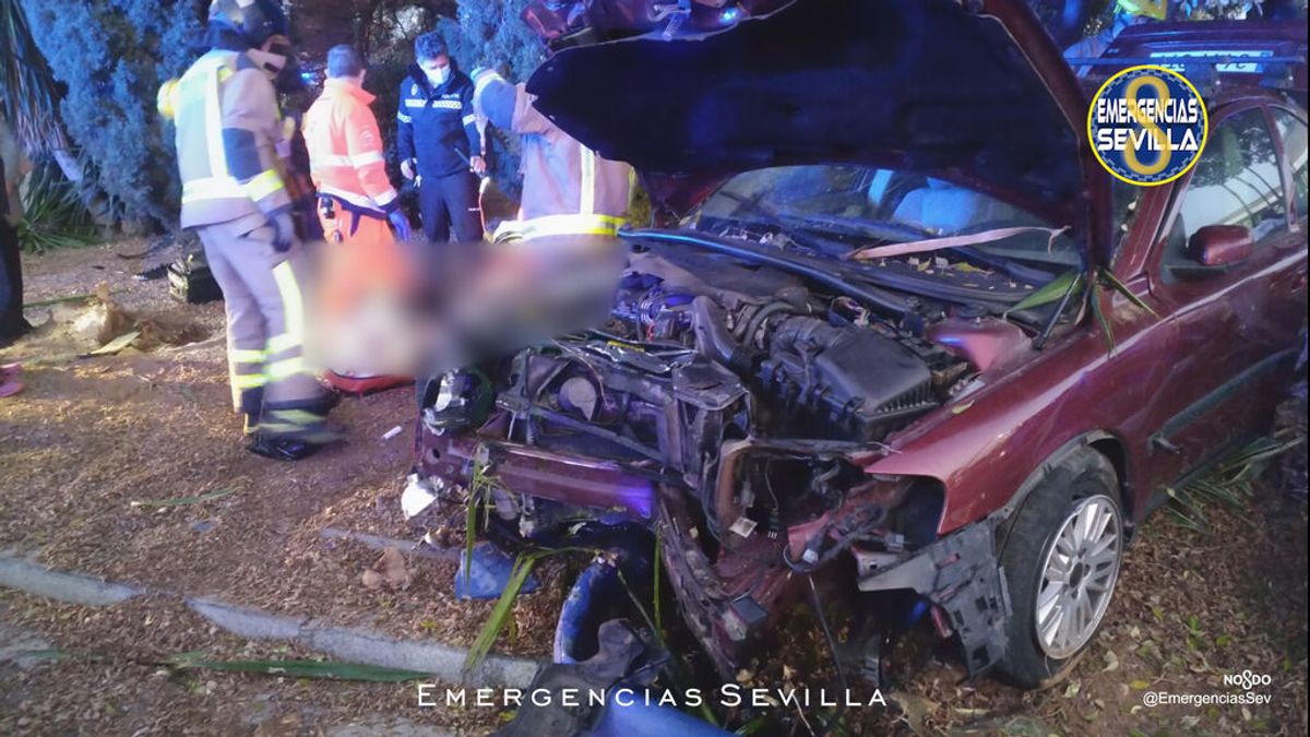 Muere una menor de 16 años en un accidente en Sevilla, el conductor del vehículo ha dado positivo en alcoholemia Muere una menor de 16 años en un accidente en Sevilla, el conductor del vehículo ha dado positivo en alcoholemia