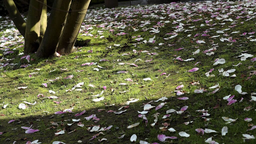 feb47e5ec5f1253bb2df90a7389086b0f88f3150