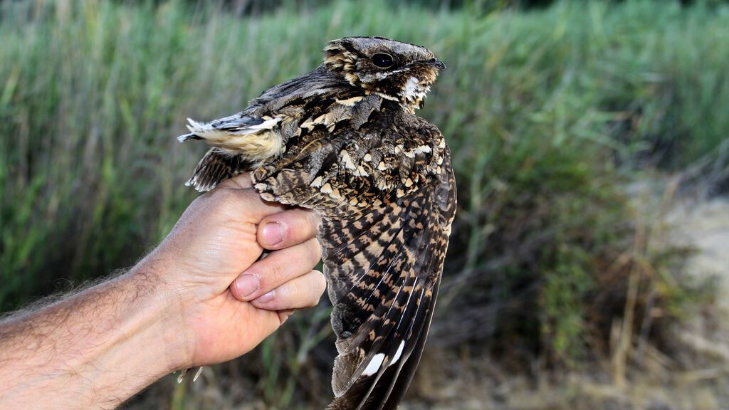 GettyImages-1213902637