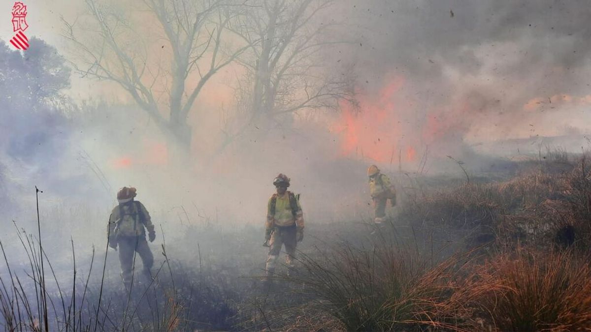 Declarado un incendio forestal en el municipio valenciano de Real con cinco focos y próximo a viviendas Declarado un incendio forestal en el municipio valenciano de Real con cinco focos y próximo a viviendas