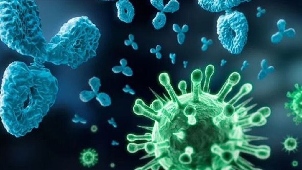 ¿Qué son los “anticuerpos falsos” y por qué son dañinos para los enfermos de covid?