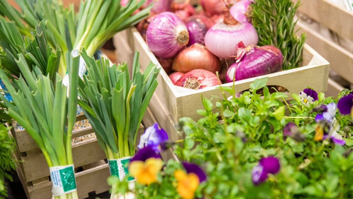 240 empresas agroalimentarias exponen sus productos hasta 6 de marzo en la feria Gustoko del BEC 240 empresas agroalimentarias exponen sus productos hasta 6 de marzo en la feria Gustoko del BEC