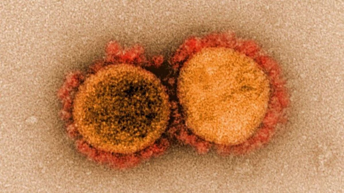 Las personas contagiadas por covid podrían tener variantes ocultas que el sistema inmune no detecta