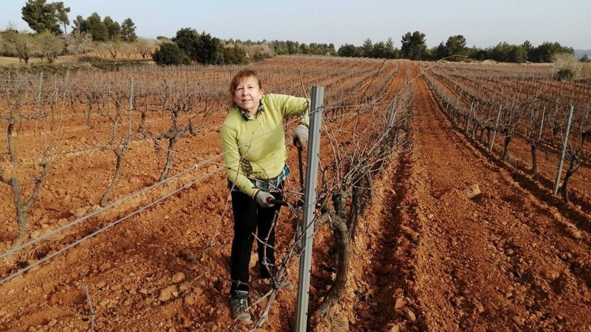 Solo 17 mujeres son titulares de explotaciones agrarias en la Comunidad Valenciana Solo 17 mujeres son titulares de explotaciones agrarias en la Comunidad Valenciana