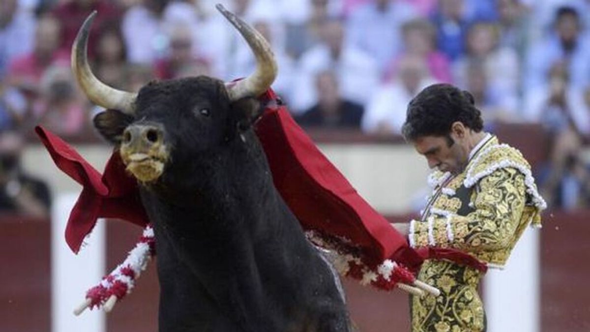 La vuelta a los ruedos de José Tomás en Jaén llena los alojamientos de la ciudad La vuelta a los ruedos de José Tomás en Jaén llena los alojamientos de la ciudad