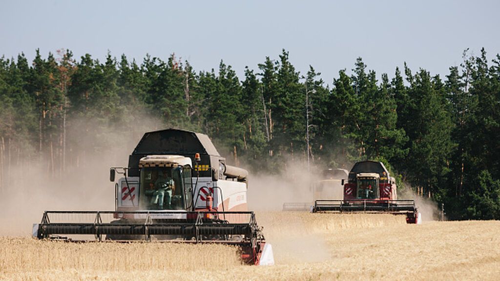 La falta de cereales por la guerra: “Sin ellos, no tendremos ni carne ni leche porque los animales morirán"