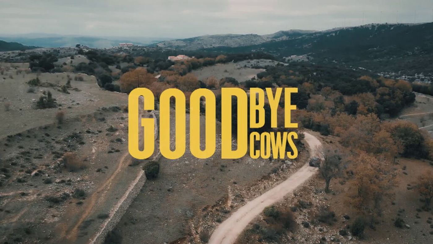 Goodbye Cows