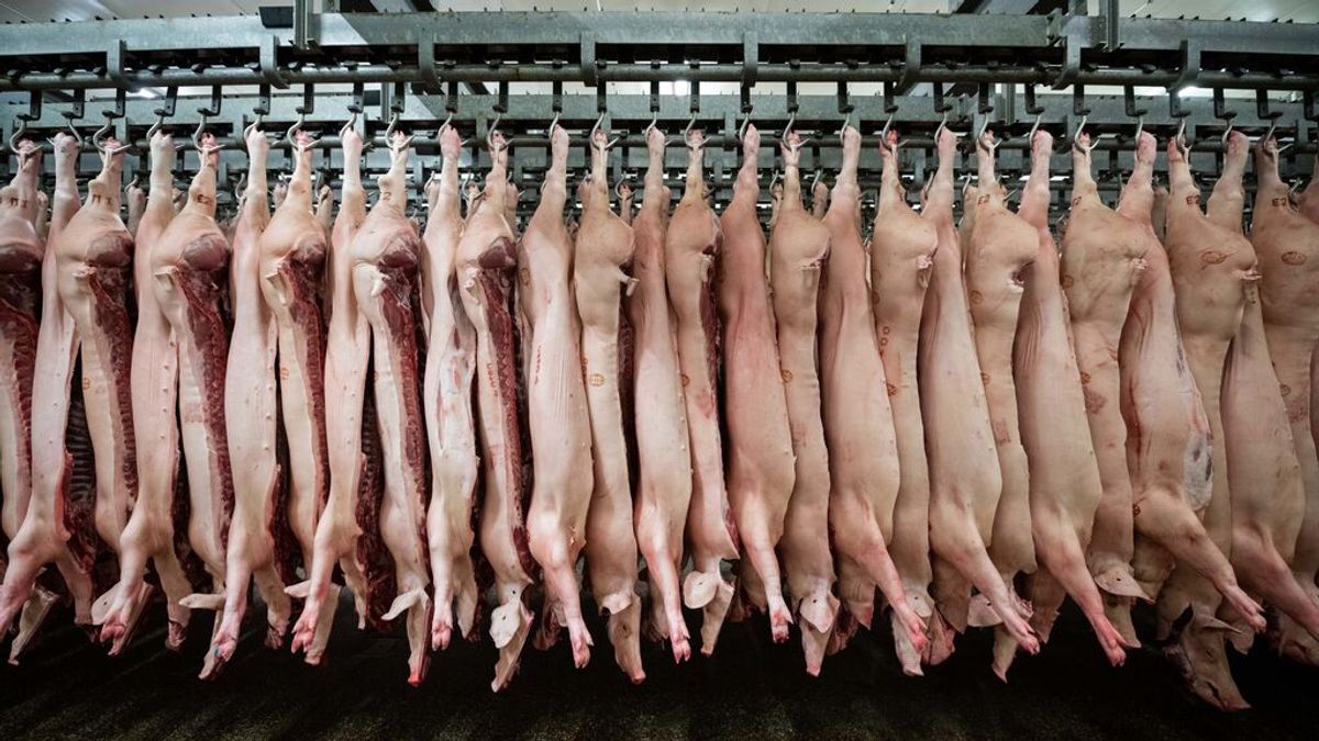Anuncian el cierre de un matadero de Vallfogona de Balaguer con 75 trabajadores despedidos Anuncian el cierre de un matadero de Vallfogona de Balaguer con 75 trabajadores despedidos