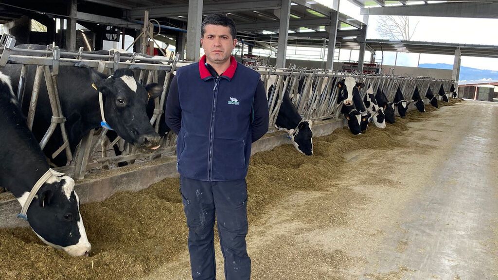 Manuel, un ganadero de Lugo: “Estamos mandando vacas al matadero porque las cuentas no dan”