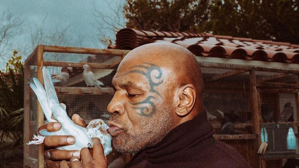 Mike Tyson y su amor por las palomas