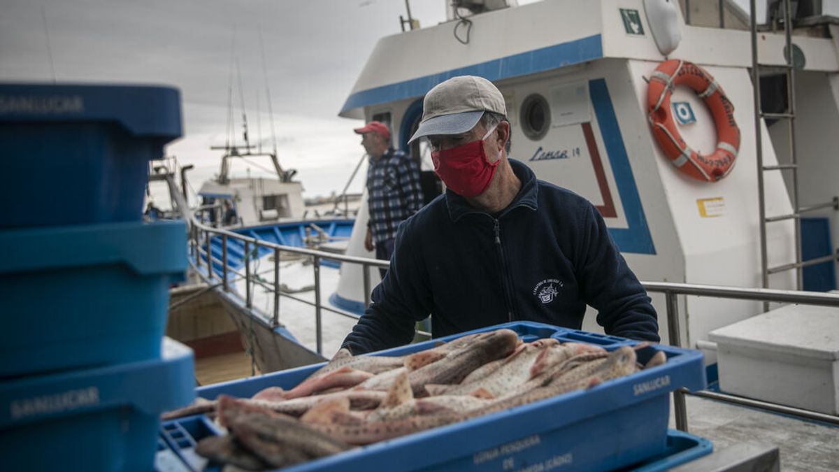 El sector pesquero andaluz señala que los gastos en combustible superan las ventas y prevé un amarre total