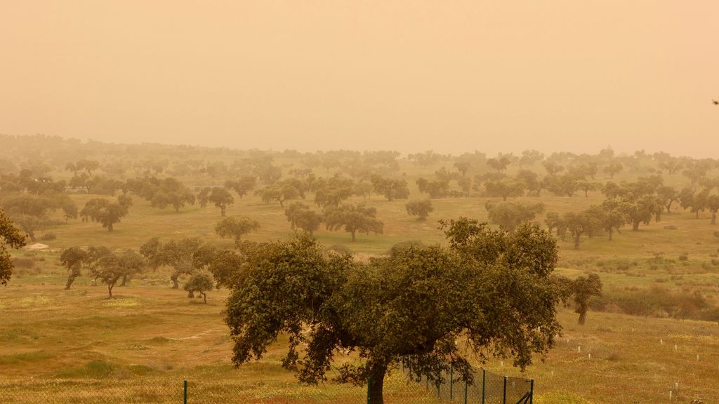 Los cielos se tiñen de naranja en toda España por la calima: las imágenes más impactantes