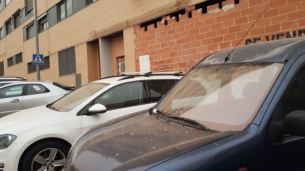 WhatsApp Image 2022-03-15 at 08.20.18