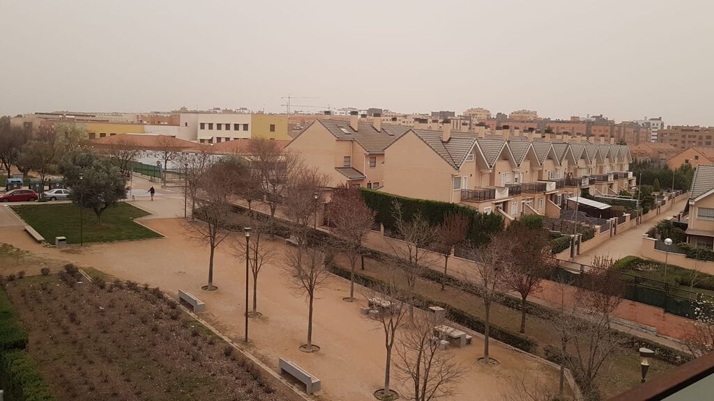 WhatsApp Image 2022-03-15 at 08.20.09