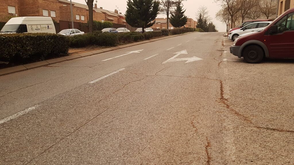 WhatsApp Image 2022-03-15 at 08.20.34