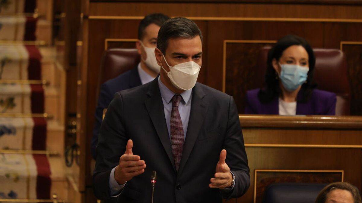 El presidente del Gobierno, Pedro Sánchez, durante la sesión de control El presidente del Gobierno, Pedro Sánchez, durante la sesión de control