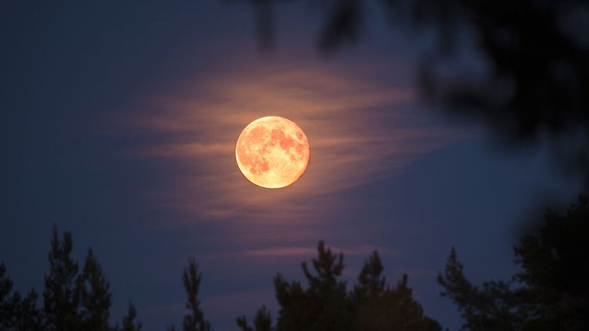 Luna del Gusano 2022: cuándo y cómo ver la última luna llena del invierno en marzo