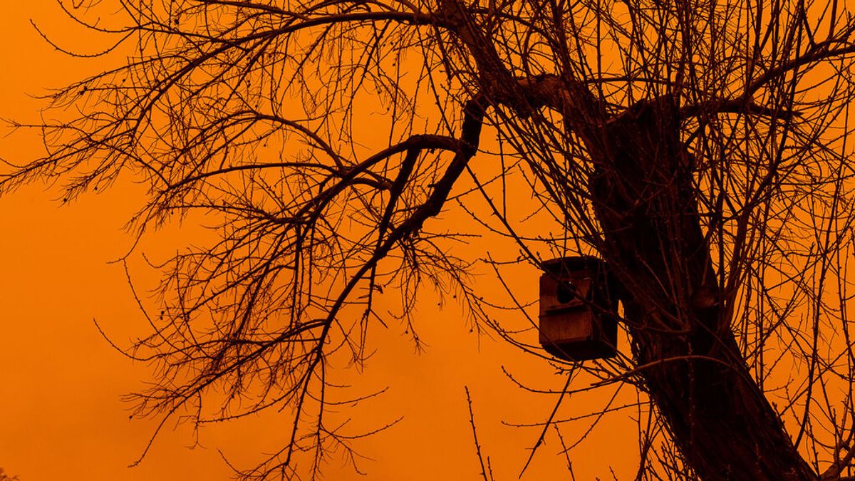 Francia y Alemania también se van a cubrir de arena: ¿Cómo viaja la calima tan lejos del desierto?