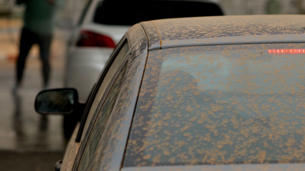 EuropaPress_4316209_vehiculo_hace_cola_ser_lavado_15_marzo_2022_madrid_espana_madrid_despertado